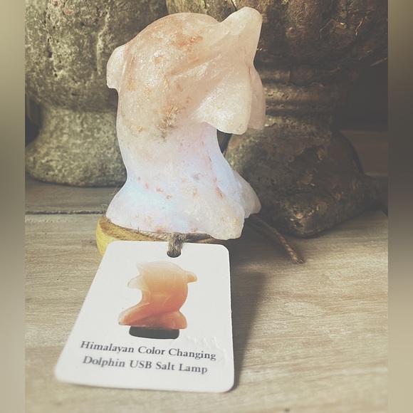 Himalayan Salt Dolphin Lamp - Picture 7 of 10